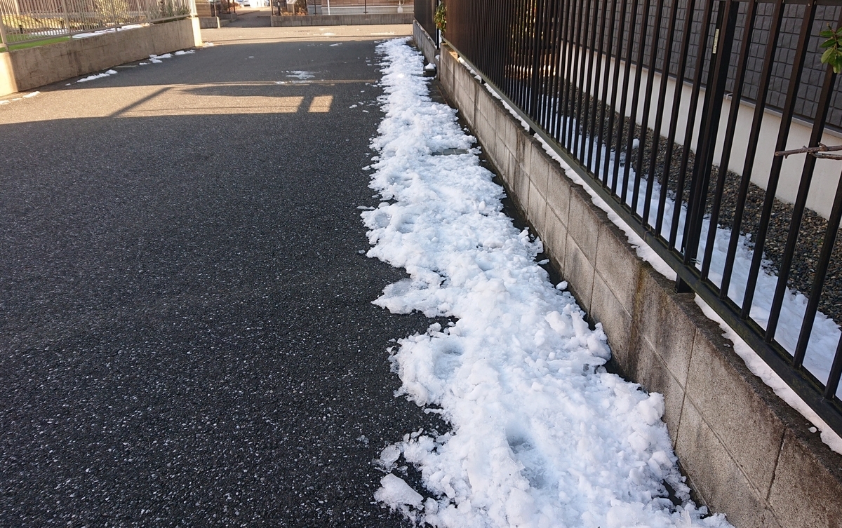 f:id:nekonohanashi:20220108091313j:plain:w480