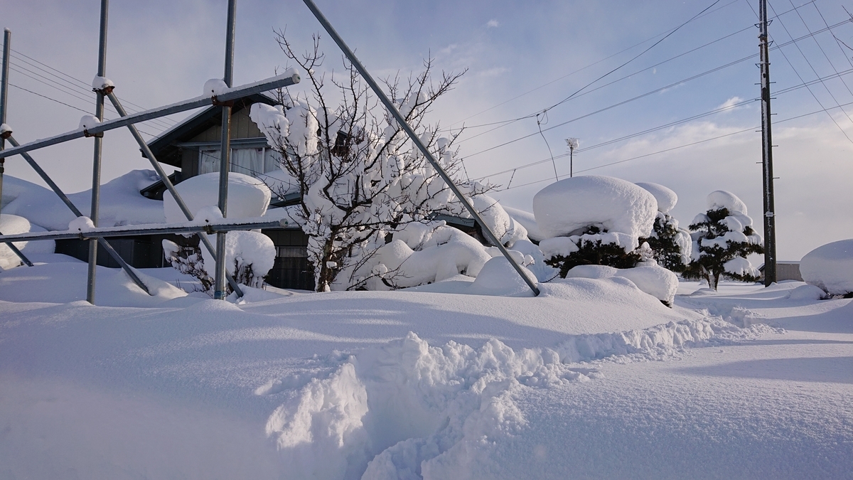 f:id:nekonohanashi:20220131082031j:plain:w450