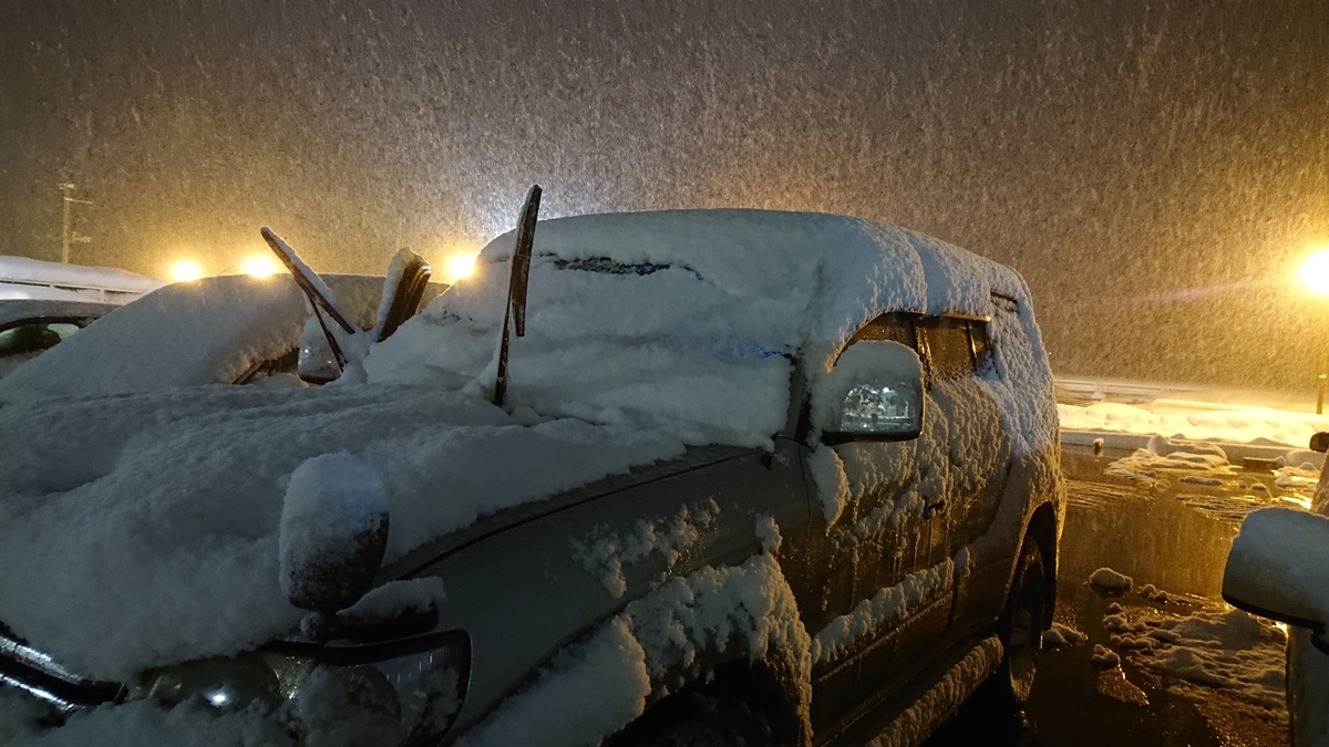 f:id:nekonohanashi:20220131174450j:plain:w450