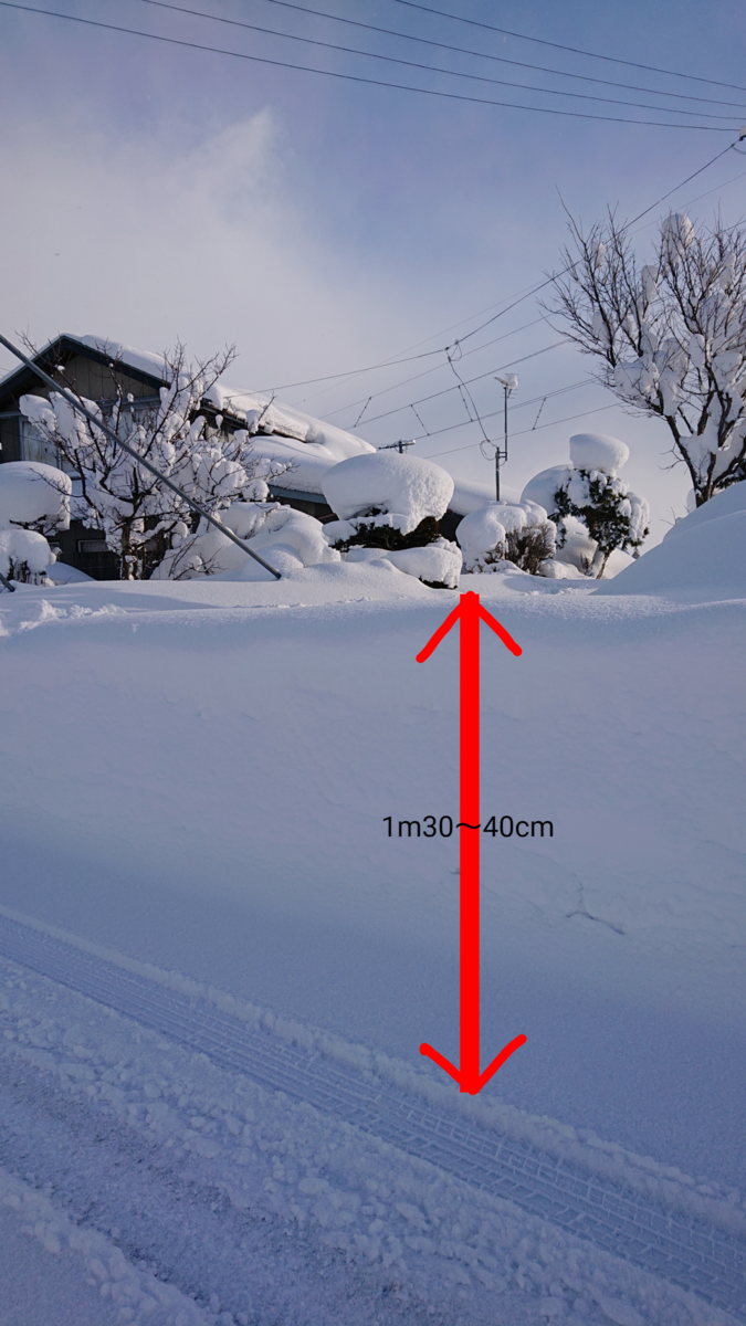f:id:nekonohanashi:20220202094127p:plain:w300