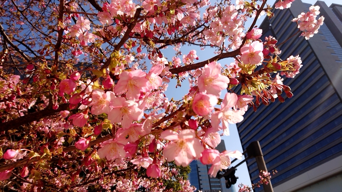 f:id:nekonohanashi:20220227201506j:plain:w450