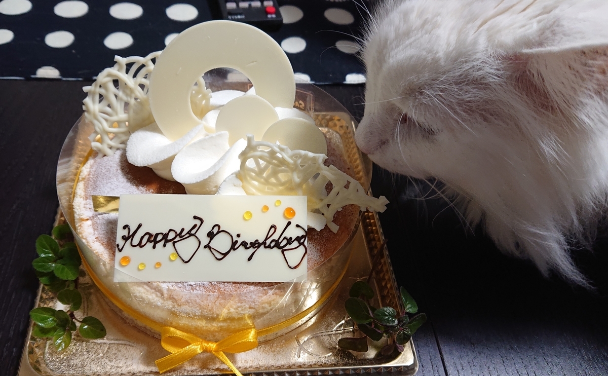 f:id:nekonohanashi:20220301162848j:plain:w450