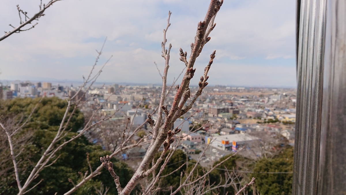 f:id:nekonohanashi:20220306131457j:plain:w450