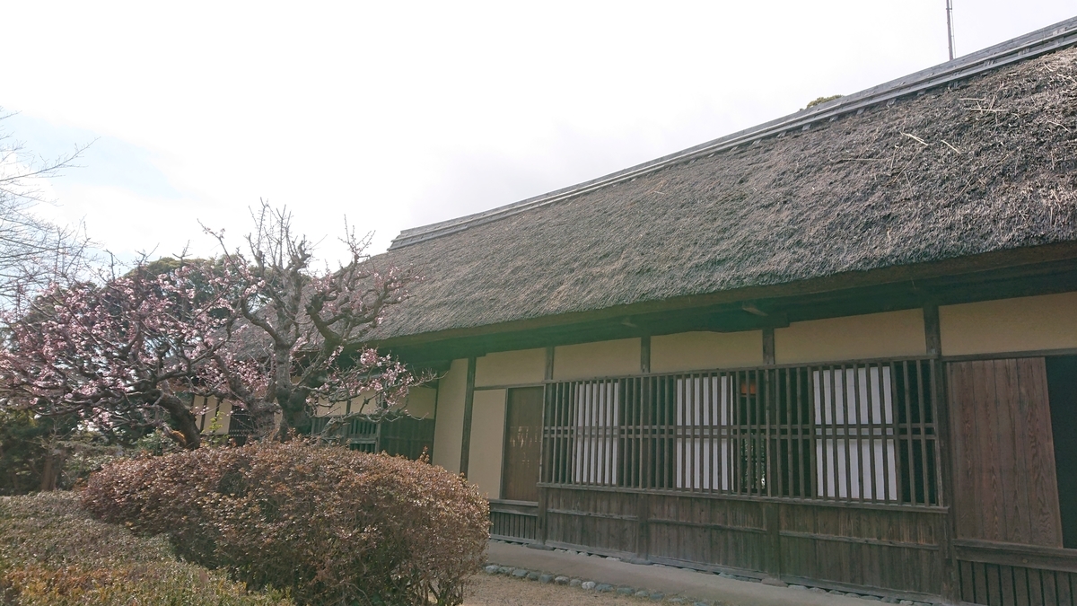 f:id:nekonohanashi:20220306132019j:plain:w450