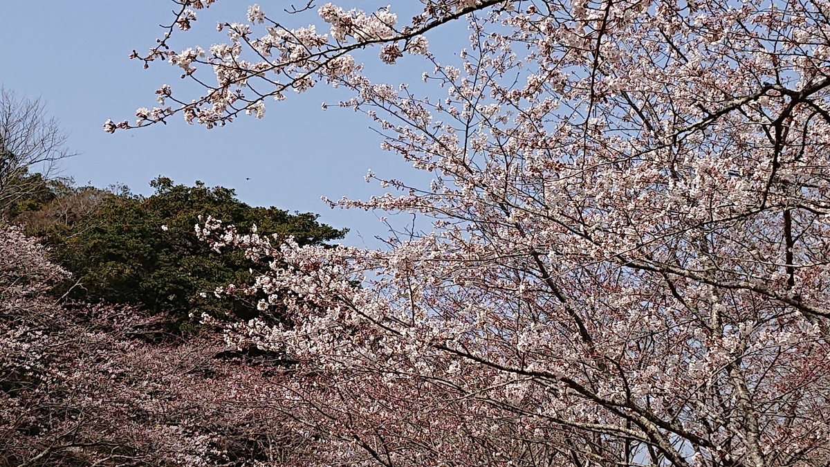 f:id:nekonohanashi:20220325103426j:plain:w480