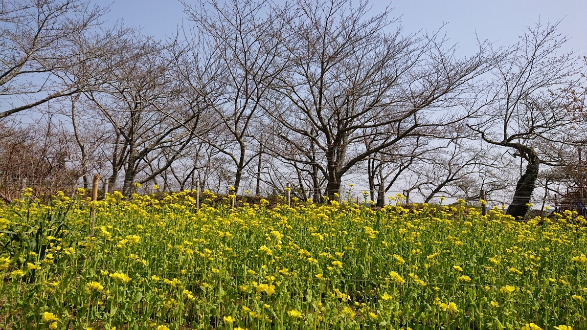 f:id:nekonohanashi:20220325110624j:plain:w480