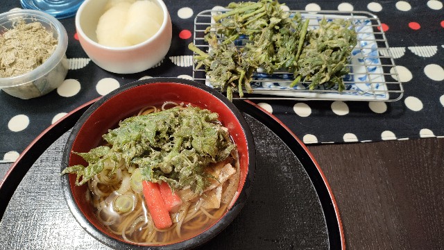 f:id:nekonohanashi:20220330141343j:image