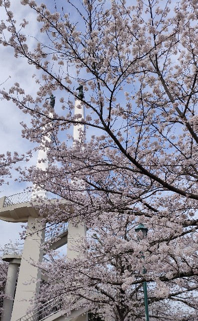 f:id:nekonohanashi:20220331220309j:image