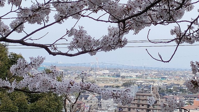 f:id:nekonohanashi:20220331220520j:image