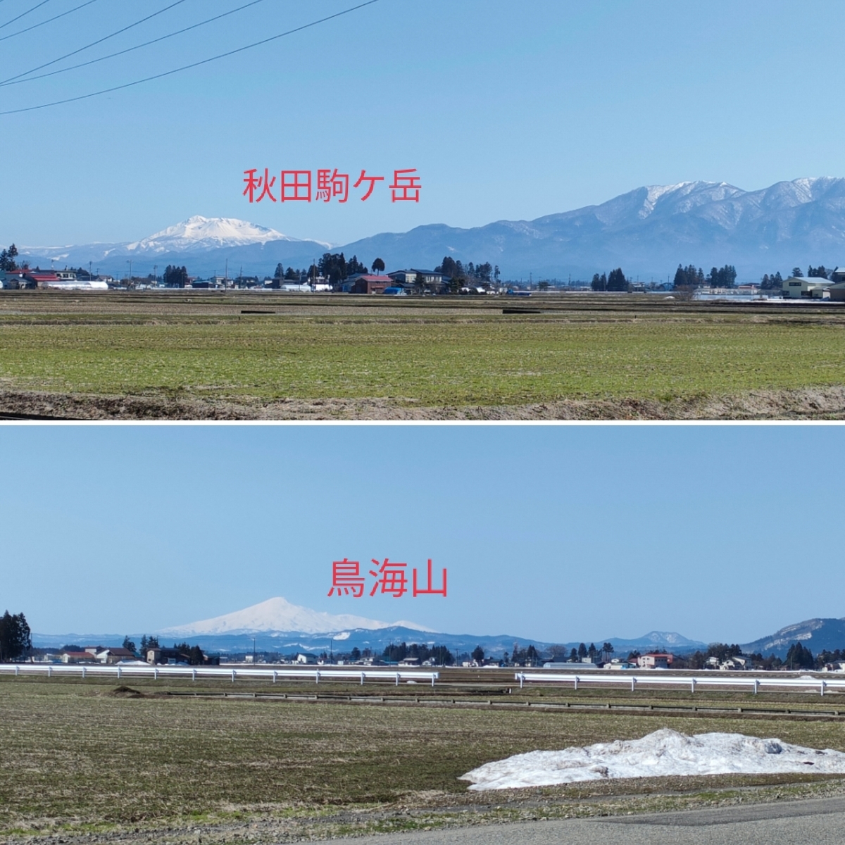 f:id:nekonohanashi:20220406083411j:plain:w350