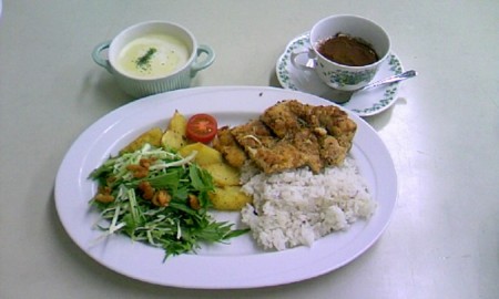 f:id:nekonokai:20081113133131j:image