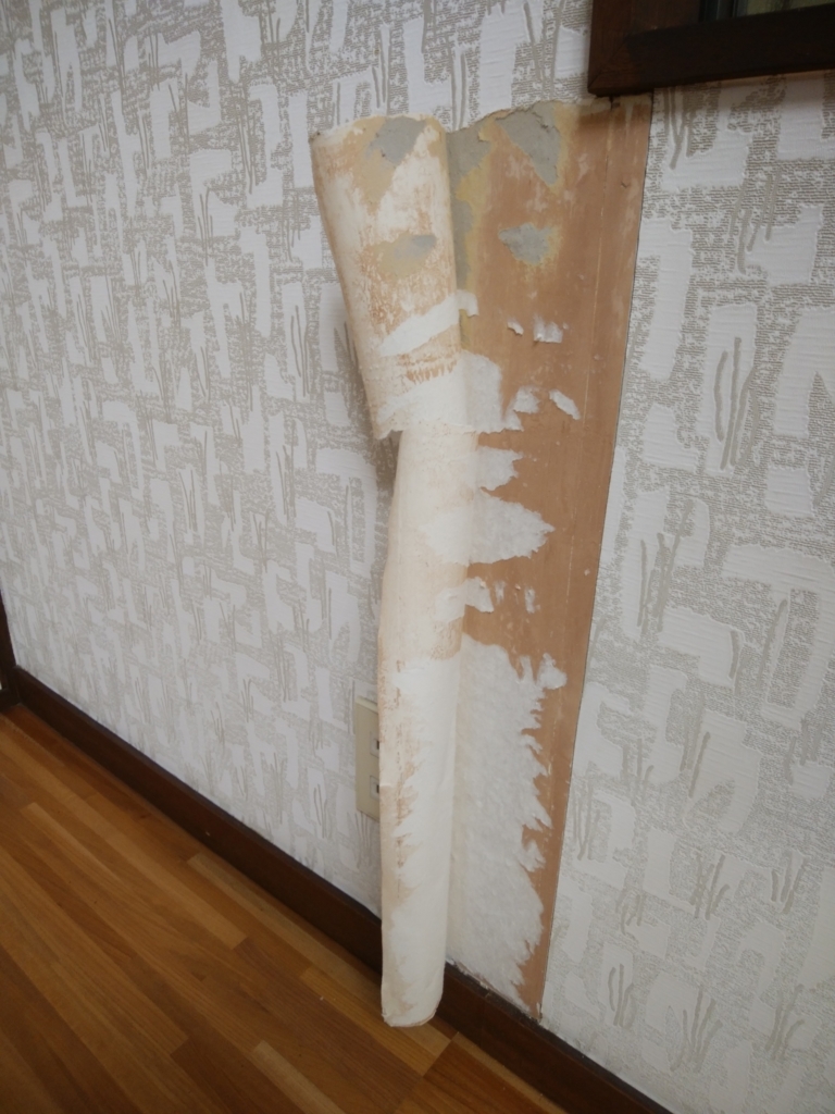 f:id:nekonokoneko:20180712143428j:plain f:id:nekonokoneko:20180712143428j:plain