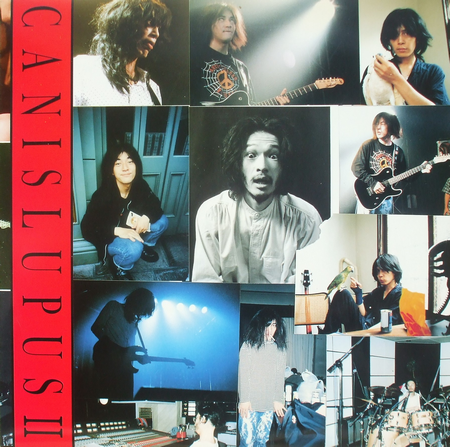 Canis Lupus（北村昌士）LIVE/SESSION CD 12枚　大放出 Canis Lupus（北村昌士）LIVE/SESSION CD 12枚 大放出