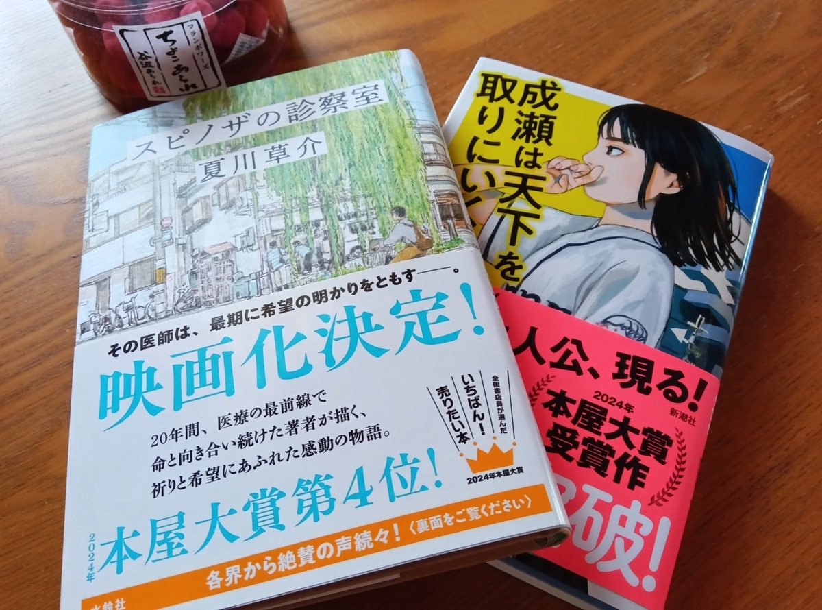 小説「スピノザの診察室」と私の雄町先生 - nekonoongaeshi