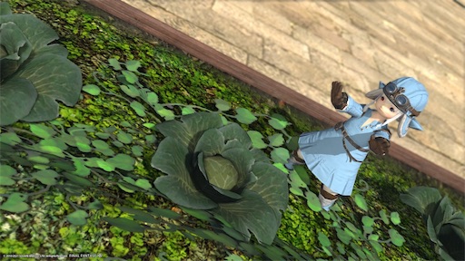 f:id:nekonoouti:20211003132953j:image f:id:nekonoouti:20211003132953j:image