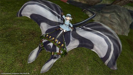 f:id:nekonoouti:20211003133130j:image f:id:nekonoouti:20211003133130j:image