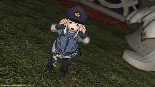 f:id:nekonoouti:20211012003132j:image f:id:nekonoouti:20211012003132j:image