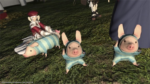 f:id:nekonoouti:20211118080829j:image f:id:nekonoouti:20211118080829j:image