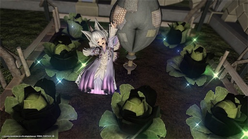 f:id:nekonoouti:20220314075354j:image f:id:nekonoouti:20220314075354j:image