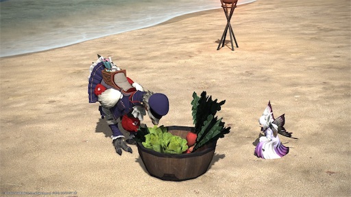 f:id:nekonoouti:20220314080525j:image f:id:nekonoouti:20220314080525j:image