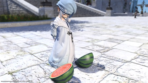 f:id:nekonoouti:20220406073404j:image