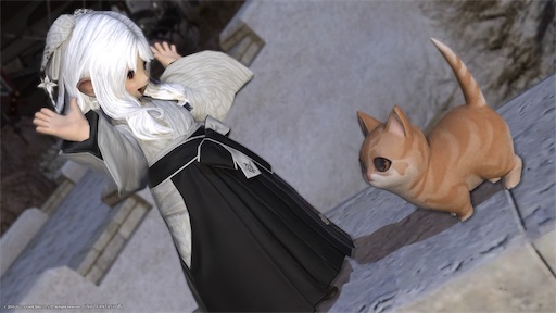 f:id:nekonoouti:20220729081708j:image