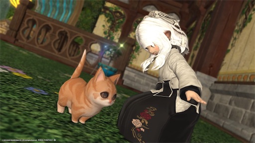 f:id:nekonoouti:20220729081731j:image