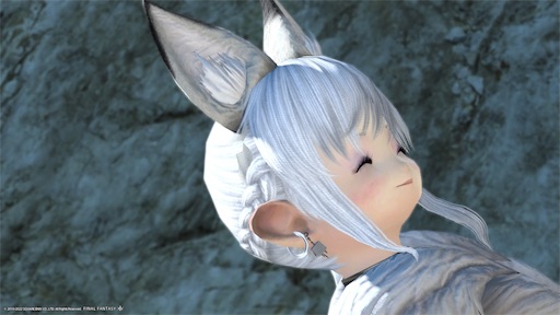 f:id:nekonoouti:20220802074115j:image