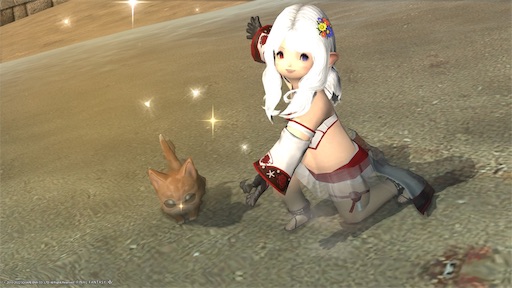 f:id:nekonoouti:20220802074443j:image