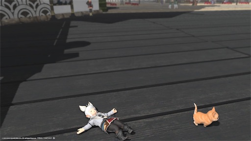 f:id:nekonoouti:20220808162051j:image