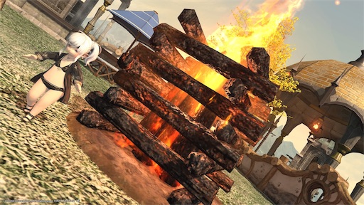 f:id:nekonoouti:20220810210015j:image