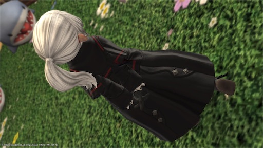 f:id:nekonoouti:20220922190218j:image