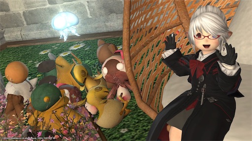 f:id:nekonoouti:20220922190417j:image