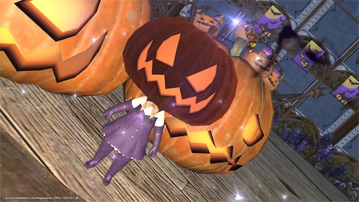 f:id:nekonoouti:20221020074538j:image f:id:nekonoouti:20221020074538j:image