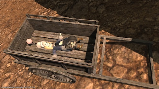 f:id:nekonoouti:20221024075809j:image