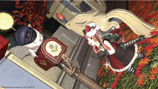 f:id:nekonoouti:20221026075619j:image