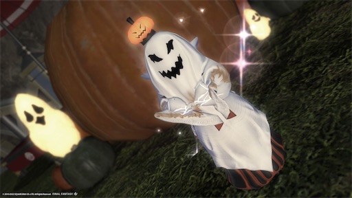 f:id:nekonoouti:20221026075830j:image