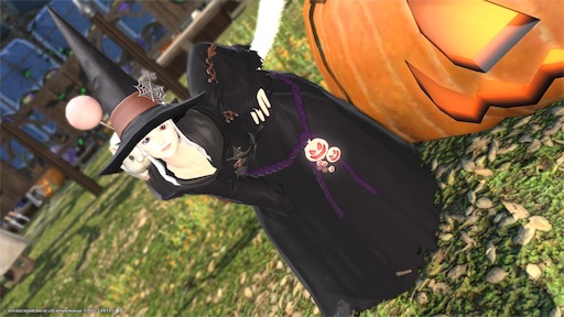 f:id:nekonoouti:20221026075929j:image