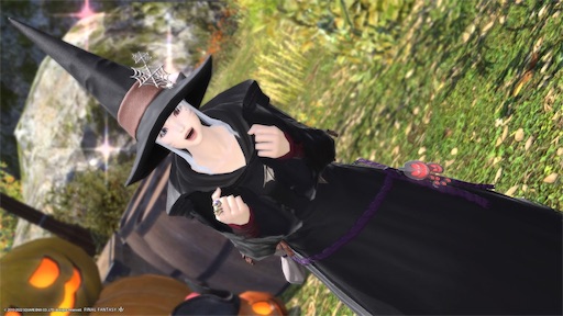 f:id:nekonoouti:20221026080013j:image