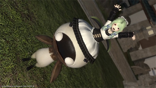 f:id:nekonoouti:20221107074121j:image