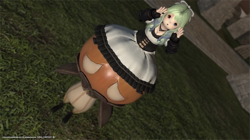 f:id:nekonoouti:20221107074140j:image