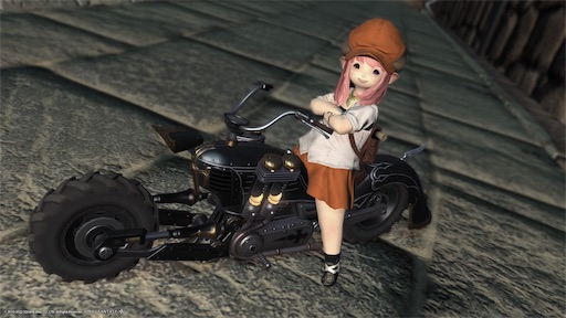 f:id:nekonoouti:20221107074249j:image