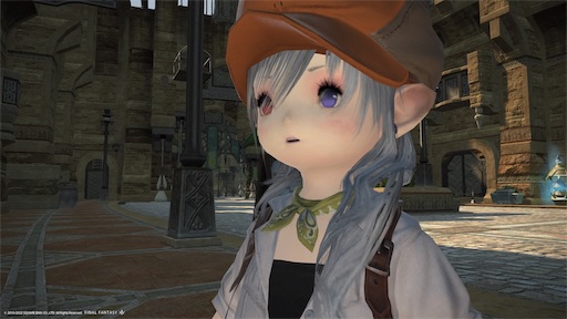 f:id:nekonoouti:20221107074304j:image