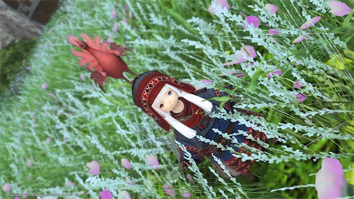 f:id:nekonoouti:20230131083457j:image