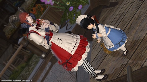 f:id:nekonoouti:20230227075154j:image f:id:nekonoouti:20230227075154j:image