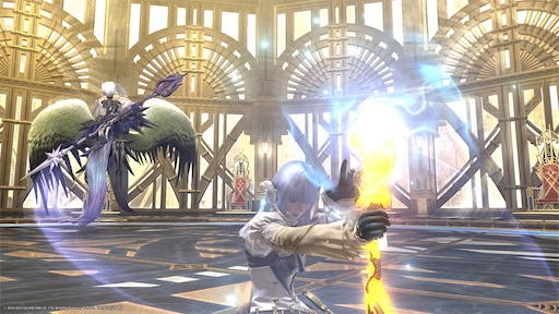 f:id:nekonoouti:20230627075700j:image