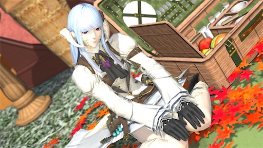 f:id:nekonoouti:20230627075743j:image