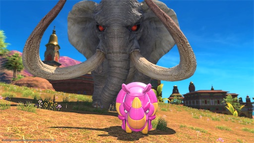 f:id:nekonoouti:20231101080731j:image