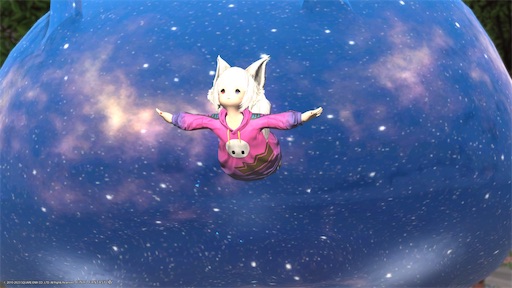 f:id:nekonoouti:20231102080118j:image