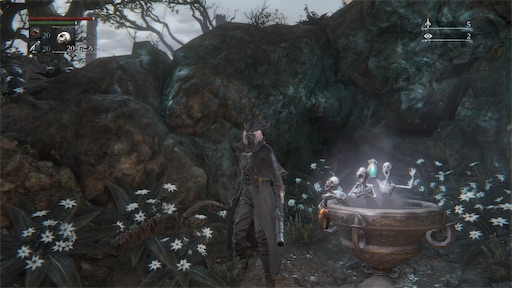 f:id:nekonoouti:20240613073508j:image f:id:nekonoouti:20240613073508j:image